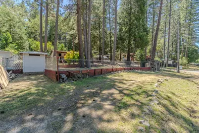 14876 Shenandoah Road, River Pines, CA 95675 - Photo 7