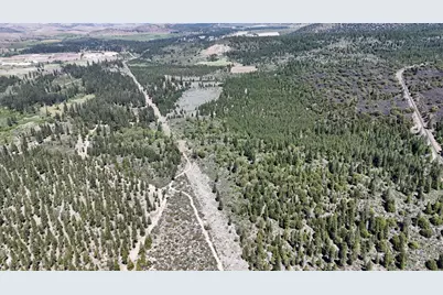 0 0 Black Butte Lookout Drive, Weed, CA 96094 - Photo 1