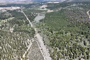 0 0 Black Butte Lookout Dr, Weed, CA 96094 - Photo 1