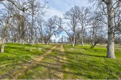 3376 Co Road 308, Elk Creek, CA 95939 - Photo 35