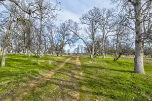 3376 Co Road 308, Elk Creek, CA 95939 - Photo 35