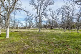 3376 Co Road 308, Elk Creek, CA 95939 - Photo 37