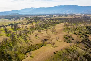 3376 Co Road 308, Elk Creek, CA 95939 - Photo 59
