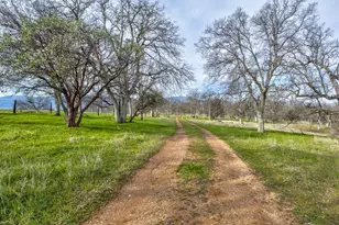 3376 Co Road 308, Elk Creek, CA 95939 - Photo 29