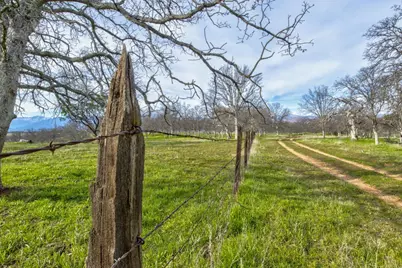 3376 Co Road 308, Elk Creek, CA 95939 - Photo 31