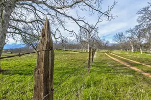 3376 Co Road 308, Elk Creek, CA 95939 - Photo 31