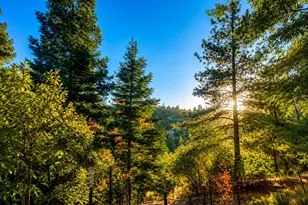 [Address not provided], Placerville, CA 95667 - Photo 19