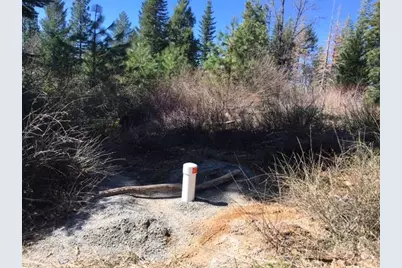 22281 Back Bone Road, Nevada City, CA 95959 - Photo 5