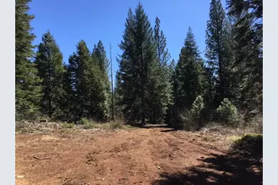 22281 Back Bone Road, Nevada City, CA 95959 - Photo 9