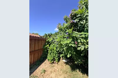220 Bonfield Way, Sacramento, CA 95838 - Photo 27
