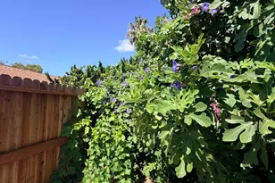 220 Bonfield Way, Sacramento, CA 95838 - Photo 27
