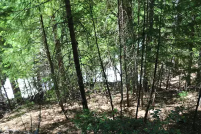543 Main, Downieville, CA 95936 - Photo 17