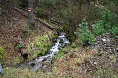 543 Main, Downieville, CA 95936 - Photo 3