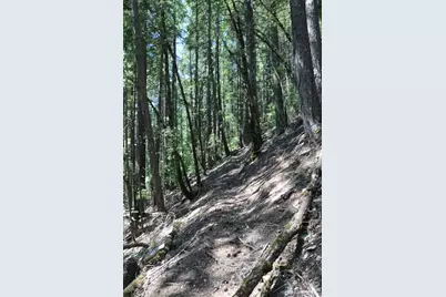 543 Main, Downieville, CA 95936 - Photo 9