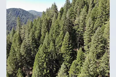 543 Main, Downieville, CA 95936 - Photo 35
