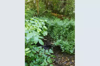 18290 Backwoods Road, Nevada City, CA 95959 - Photo 5