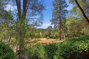 1109 Holly Leaf Ln, Meadow Vista, CA 95722 - Photo 61