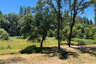 4895 Marshall Rd, Garden Valley, CA 95633 - Photo 7