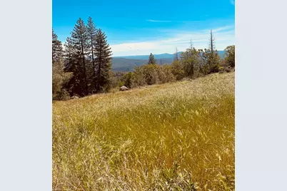 633 Forest Meadows Drive, Murphys, CA 95247 - Photo 11