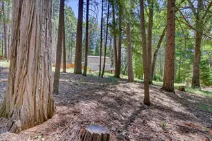 12002 Snowbourne Rd, Nevada City, CA 95959 - Photo 59