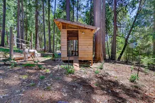 12002 Snowbourne Rd, Nevada City, CA 95959 - Photo 65
