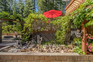 20516 E Pine Dr, Pioneer, CA 95666 - Photo 53