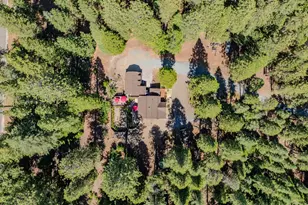 20516 E Pine Dr, Pioneer, CA 95666 - Photo 67
