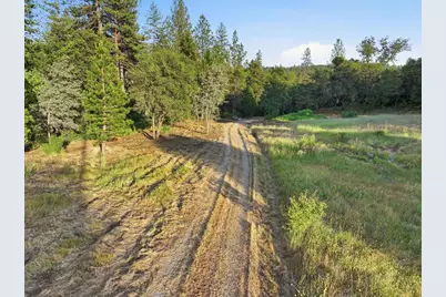 12998 Tyler Foote Road, Nevada City, CA 95959 - Photo 19