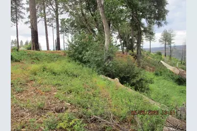 885 Panorama Point, Paradise, CA 95969 - Photo 31