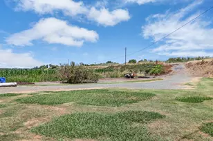 15370 Andrus Island Rd, Isleton, CA 95641 - Photo 67