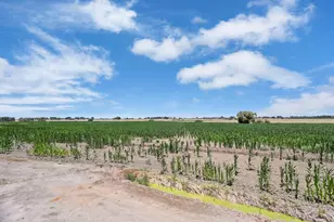 15370 Andrus Island Rd, Isleton, CA 95641 - Photo 37