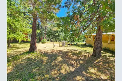 3614 N Railroad Flat Road, Wilseyville, CA 95257 - Photo 57