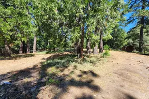 3614 N Railroad Flat Rd, Wilseyville, CA 95257 - Photo 41