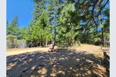 3614 N Railroad Flat Road, Wilseyville, CA 95257 - Photo 53