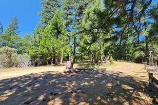 3614 N Railroad Flat Rd, Wilseyville, CA 95257 - Photo 53