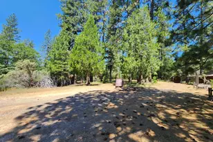 3614 N Railroad Flat Rd, Wilseyville, CA 95257 - Photo 51