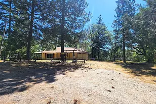 3614 N Railroad Flat Rd, Wilseyville, CA 95257 - Photo 5