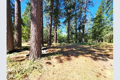 3614 N Railroad Flat Road, Wilseyville, CA 95257 - Photo 39