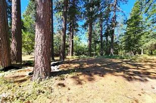 3614 N Railroad Flat Rd, Wilseyville, CA 95257 - Photo 39