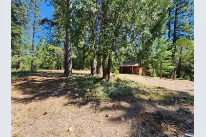 3614 N Railroad Flat Road, Wilseyville, CA 95257 - Photo 43