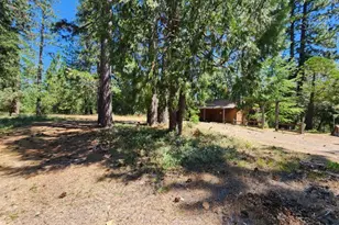 3614 N Railroad Flat Rd, Wilseyville, CA 95257 - Photo 43