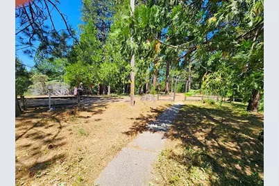 3614 N Railroad Flat Road, Wilseyville, CA 95257 - Photo 55