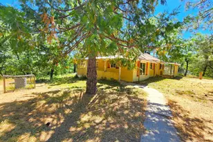 3614 N Railroad Flat Rd, Wilseyville, CA 95257 - Photo 3