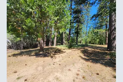 3614 N Railroad Flat Road, Wilseyville, CA 95257 - Photo 45