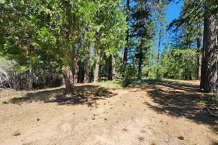 3614 N Railroad Flat Rd, Wilseyville, CA 95257 - Photo 45