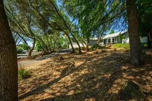 3614 Cambridge Rd, Cameron Park, CA 95682 - Photo 39