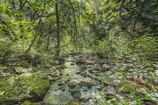 0 Ca-Calaveras County, San Andreas, CA 95249 - Photo 1