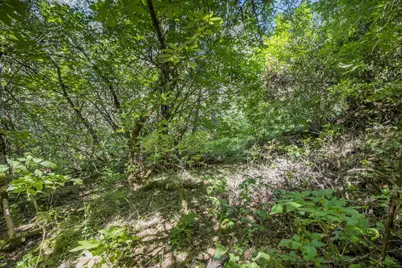 0 Ca-Calaveras County, San Andreas, CA 95249 - Photo 5