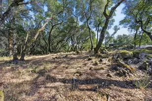 3660 Mary Ln, Auburn, CA 95602 - Photo 27
