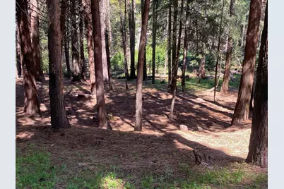 5741 Lupin Lane, Pollock Pines, CA 95726 - Photo 9